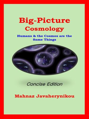 cover image of Big Picture Cosmology